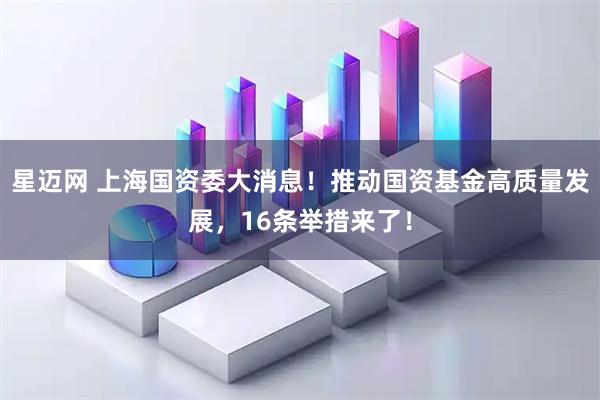 星迈网 上海国资委大消息！推动国资基金高质量发展，16条举措来了！